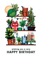 Folio plants birthday